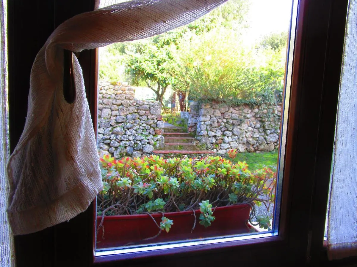 Il Mandorlo Di Monteriggioni Apartment