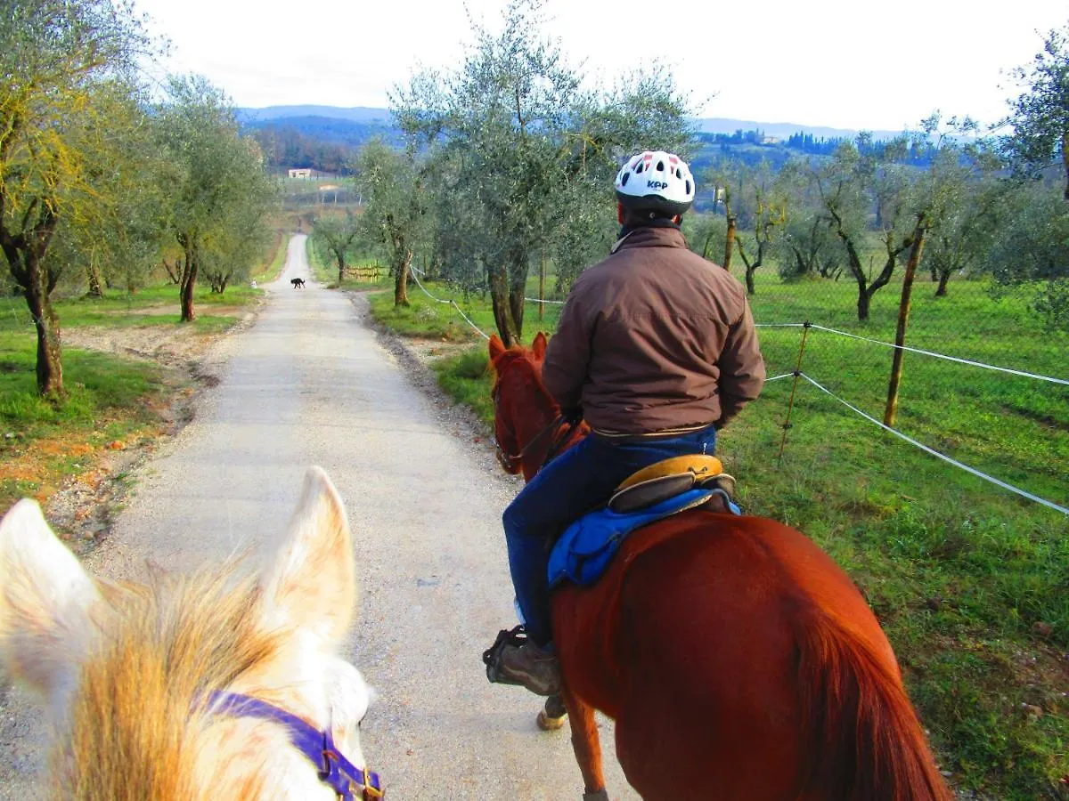 Il Mandorlo Di Monteriggioni Lejlighed